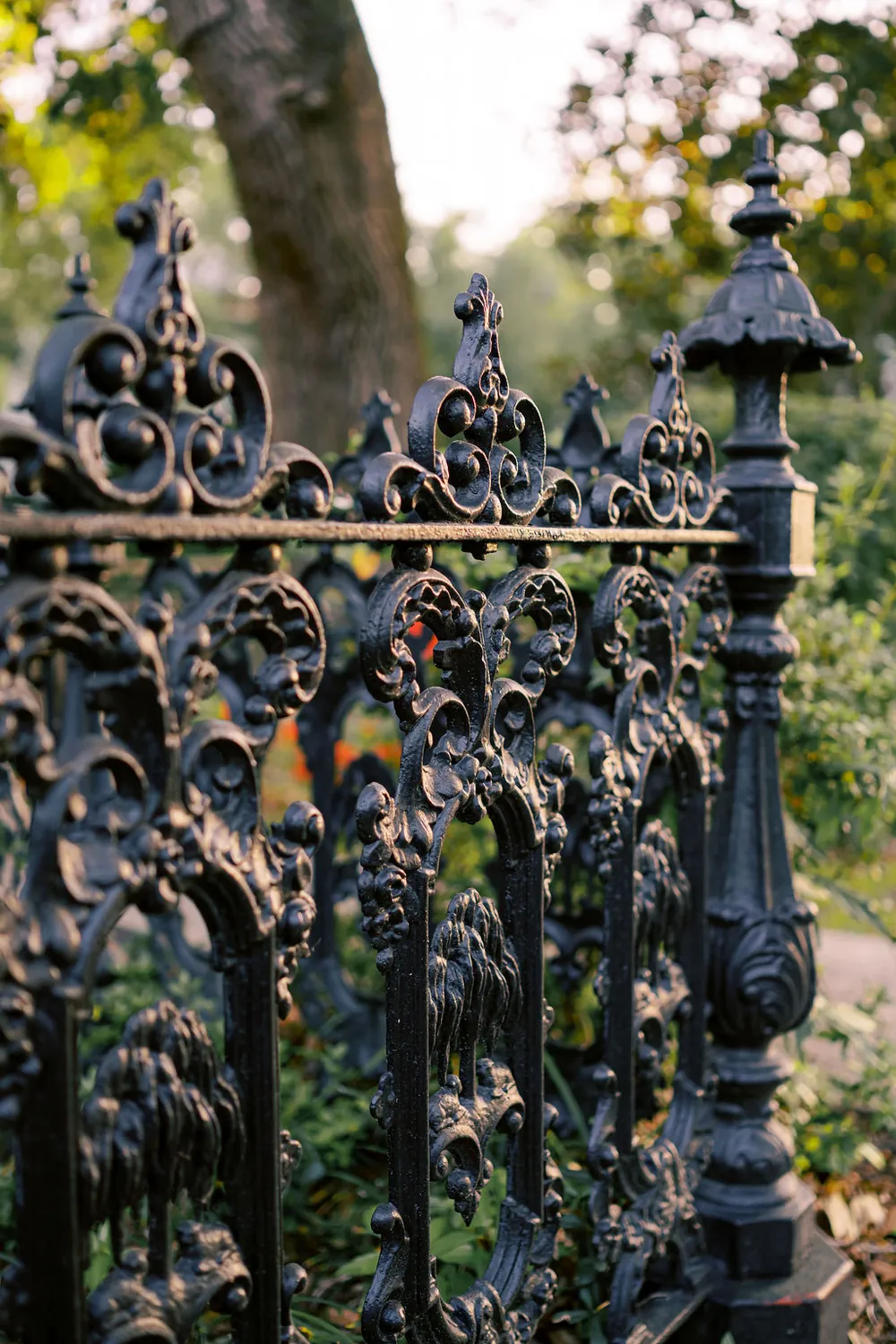 The ornate cast-iron fence around the churchyard at St. Paul’s, its scrollwork and finials picked out in late afternoon light.